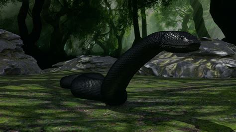 snake vore video|Titanaboa 2 : Merciless Nature : Free Download, Borrow, and .